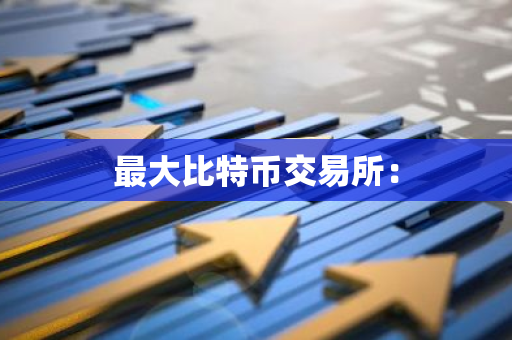 最大比特币交易所：