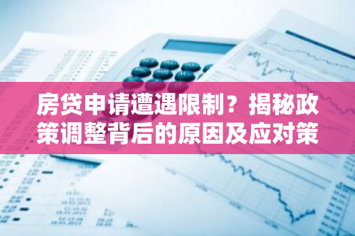 房贷申请遭遇限制？揭秘政策调整背后的原因及应对策略