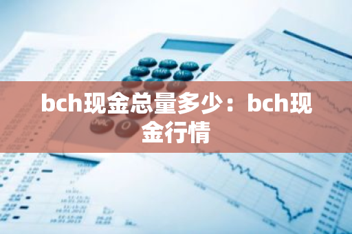 bch现金总量多少：bch现金行情-第1张图片-智财锋资讯网