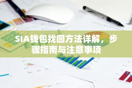 SIA钱包找回方法详解，步骤指南与注意事项-第1张图片-智财锋资讯网