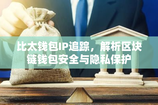 比太钱包IP追踪，解析区块链钱包安全与隐私保护-第1张图片-智财锋资讯网