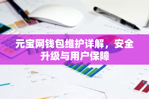 元宝网钱包维护详解，安全升级与用户保障