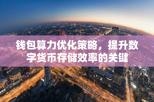 钱包算力优化策略，提升数字货币存储效率的关键
