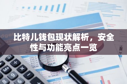 比特儿钱包现状解析，安全性与功能亮点一览-第1张图片-智财锋资讯网