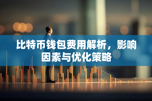比特币钱包费用解析，影响因素与优化策略
