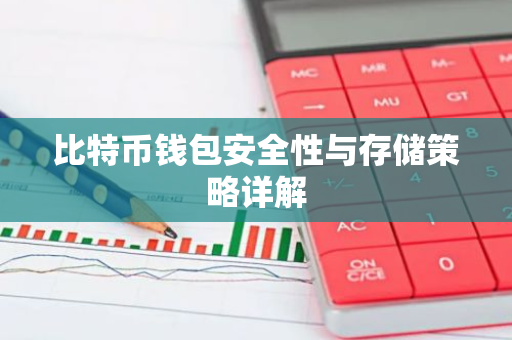 比特币钱包安全性与存储策略详解