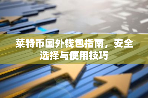 莱特币国外钱包指南，安全选择与使用技巧-第1张图片-智财锋资讯网