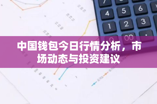 中国钱包今日行情分析，市场动态与投资建议-第1张图片-智财锋资讯网