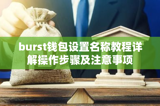 burst钱包设置名称教程详解操作步骤及注意事项