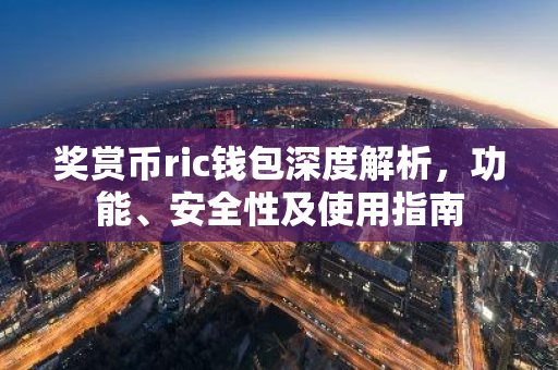 奖赏币ric钱包深度解析，功能、安全性及使用指南