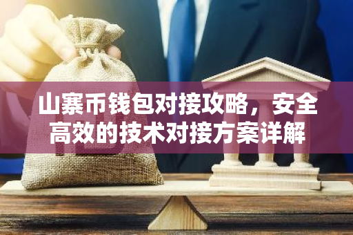 山寨币钱包对接攻略，安全高效的技术对接方案详解