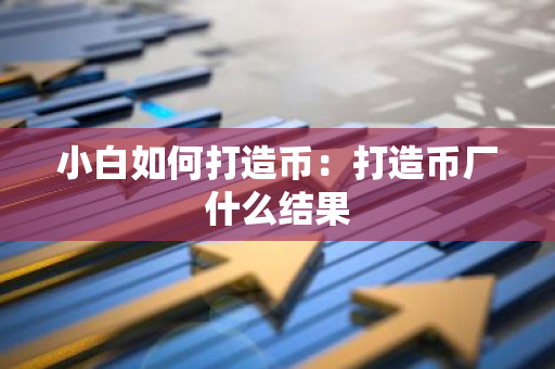 小白如何打造币：打造币厂什么结果