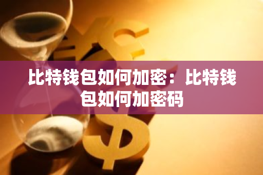 比特钱包如何加密：比特钱包如何加密码
