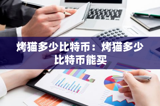 烤猫多少比特币：烤猫多少比特币能买-第1张图片-智财锋资讯网
