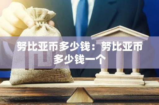 努比亚币多少钱：努比亚币多少钱一个