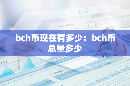 bch币现在有多少：bch币总量多少-第1张图片-智财锋资讯网