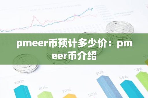 pmeer币预计多少价：pmeer币介绍