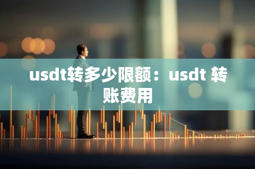 usdt转多少限额：usdt 转账费用