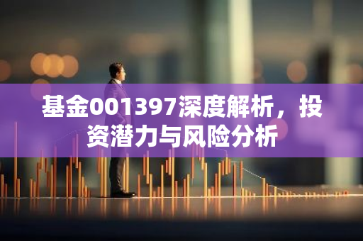 基金001397深度解析，投资潜力与风险分析