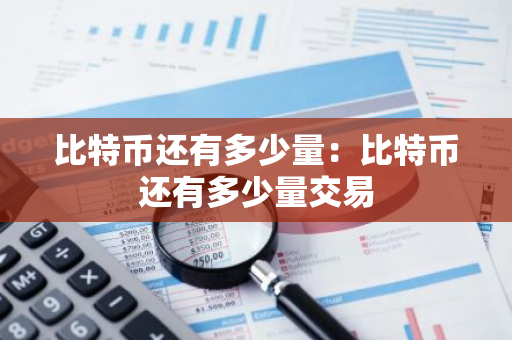 比特币还有多少量：比特币还有多少量交易-第1张图片-智财锋资讯网