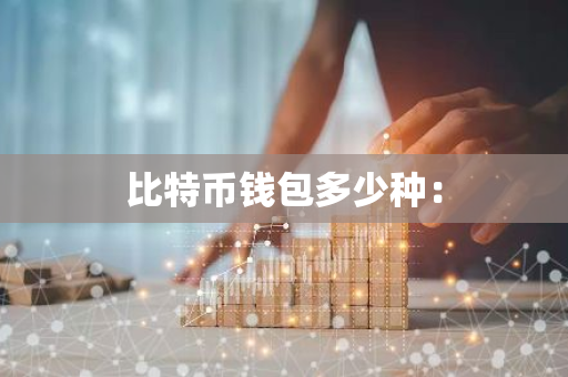 比特币钱包多少种：-第1张图片-智财锋资讯网