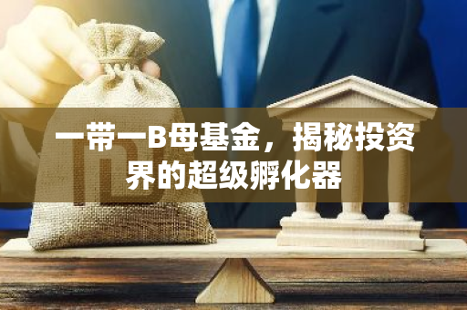 一带一B母基金，揭秘投资界的超级孵化器