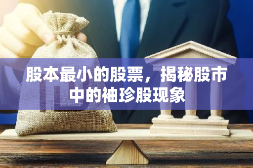 股本最小的股票，揭秘股市中的袖珍股现象