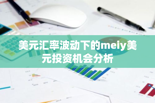 美元汇率波动下的meiy美元投资机会分析
