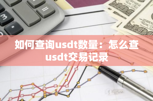 如何查询usdt数量：怎么查usdt交易记录-第1张图片-智财锋资讯网