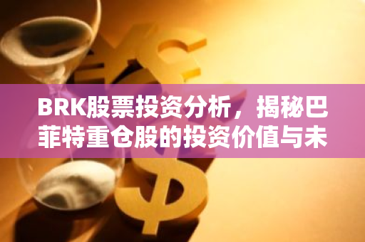 BRK股票投资分析，揭秘巴菲特重仓股的投资价值与未来前景