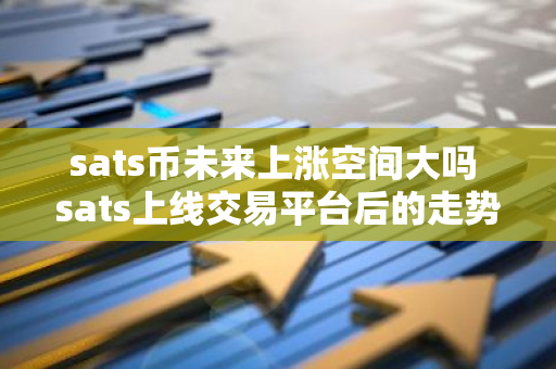 sats币未来上涨空间大吗 sats上线交易平台后的走势预测-第1张图片-智财锋资讯网