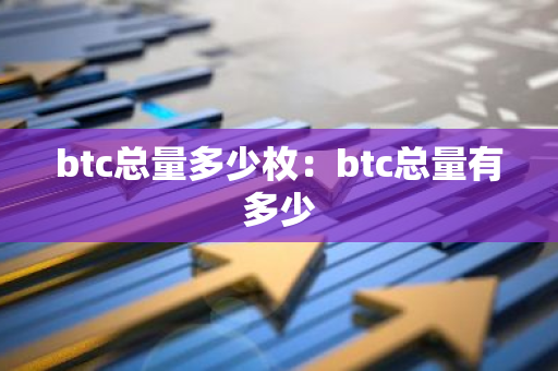 btc总量多少枚：btc总量有多少-第1张图片-智财锋资讯网