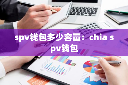 spv钱包多少容量：chia spv钱包-第1张图片-智财锋资讯网
