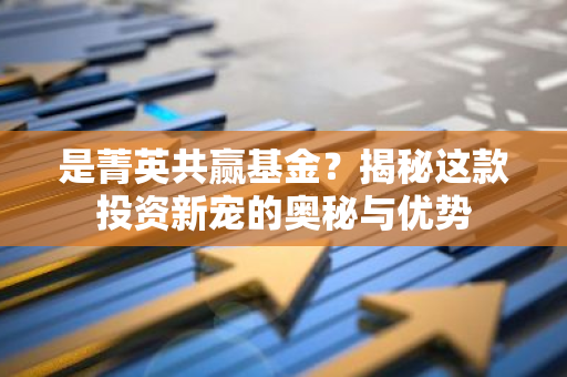 是菁英共赢基金？揭秘这款投资新宠的奥秘与优势