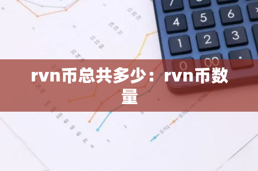 rvn币总共多少：rvn币数量