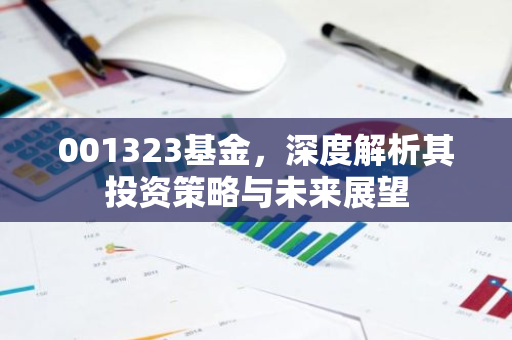 001323基金，深度解析其投资策略与未来展望