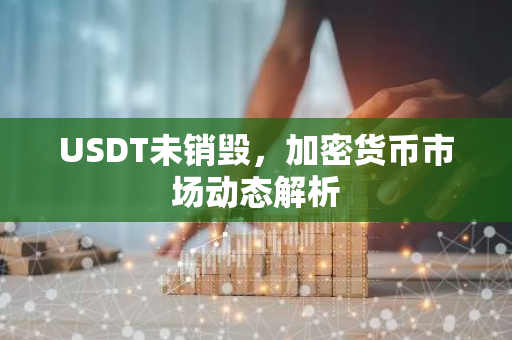 USDT未销毁,加密货币市场动态解析-第1张图片-智财锋资讯网 USDT未销毁,加密货币市场动态解析-第1张图片-智财锋资讯网
