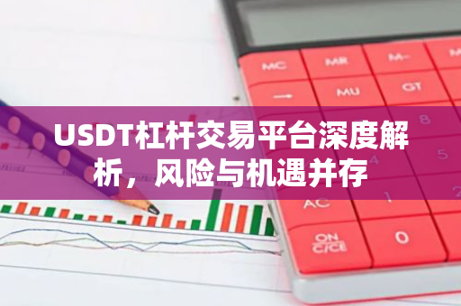 USDT杠杆交易平台深度解析，风险与机遇并存