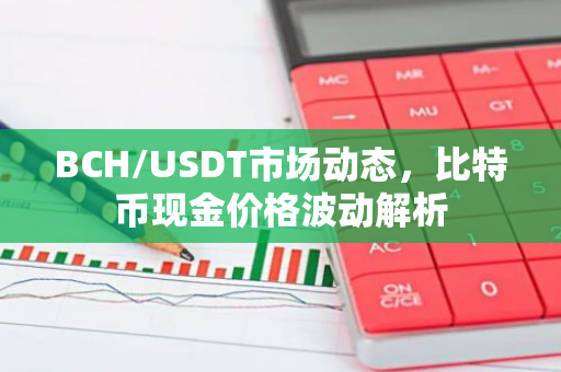 BCH/USDT市场动态，比特币现金价格波动解析