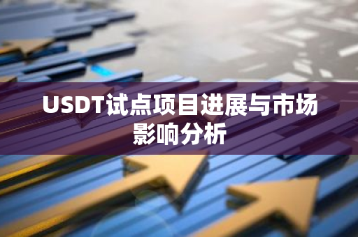 USDT试点项目进展与市场影响分析