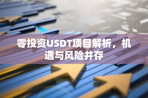 零投资USDT项目解析，机遇与风险并存