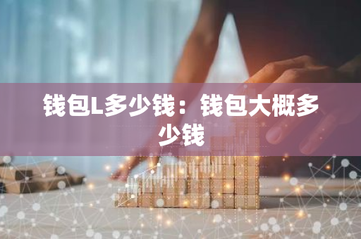 钱包L多少钱：钱包大概多少钱