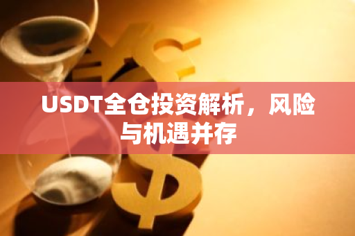 USDT全仓投资解析，风险与机遇并存