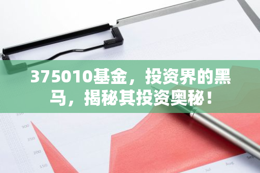 375010基金，投资界的黑马，揭秘其投资奥秘！