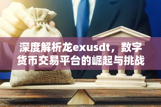 深度解析龙exusdt，数字货币交易平台的崛起与挑战