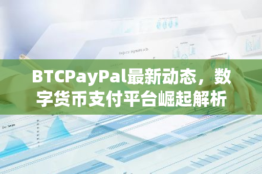 BTCPayPal最新动态，数字货币支付平台崛起解析