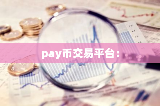 pay币交易平台：