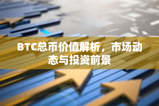 BTC总币价值解析，市场动态与投资前景-第1张图片-智财锋资讯网