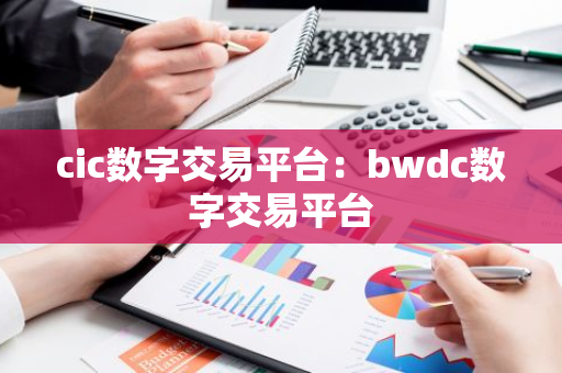 cic数字交易平台：bwdc数字交易平台-第1张图片-智财锋资讯网