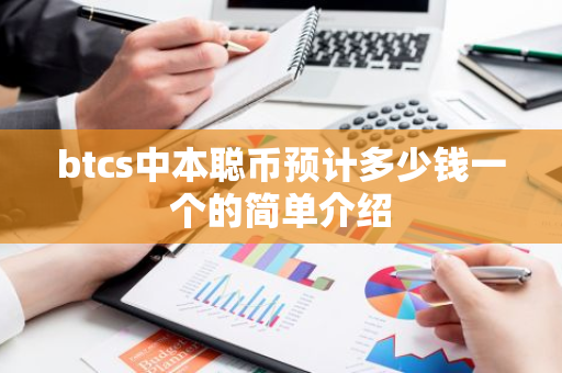 btcs中本聪币预计多少钱一个的简单介绍-第1张图片-智财锋资讯网